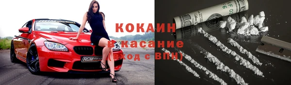 PSILOCYBIN Вязьма