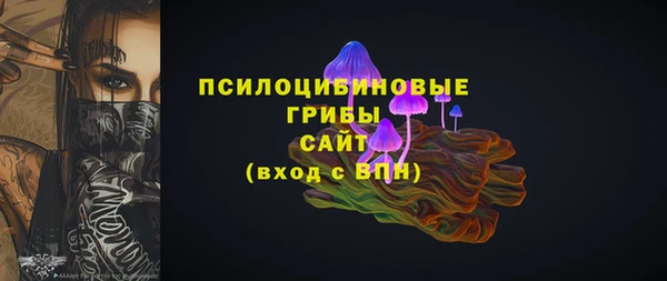 круглые Вяземский
