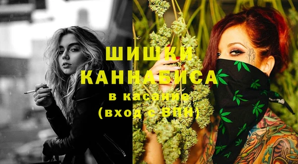 PSILOCYBIN Вязьма