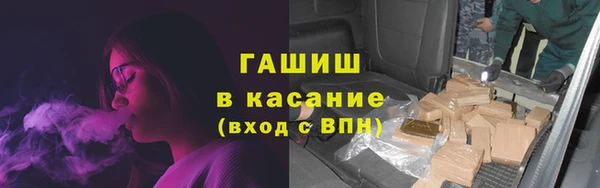 стаф Верея