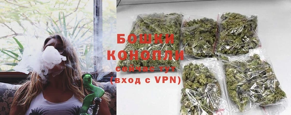 круглые Вяземский