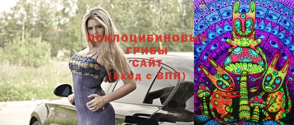 круглые Вяземский
