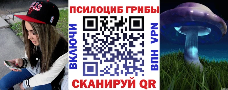 OMG   Зарайск  Галлюциногенные грибы Psilocybine cubensis  купить наркотики сайты 